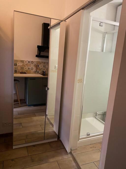 Apartment Studio Cosy Centre Toulouse